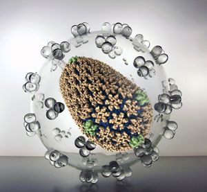 NAMD has helped reveal properties of HIV's capsid (protein shell).