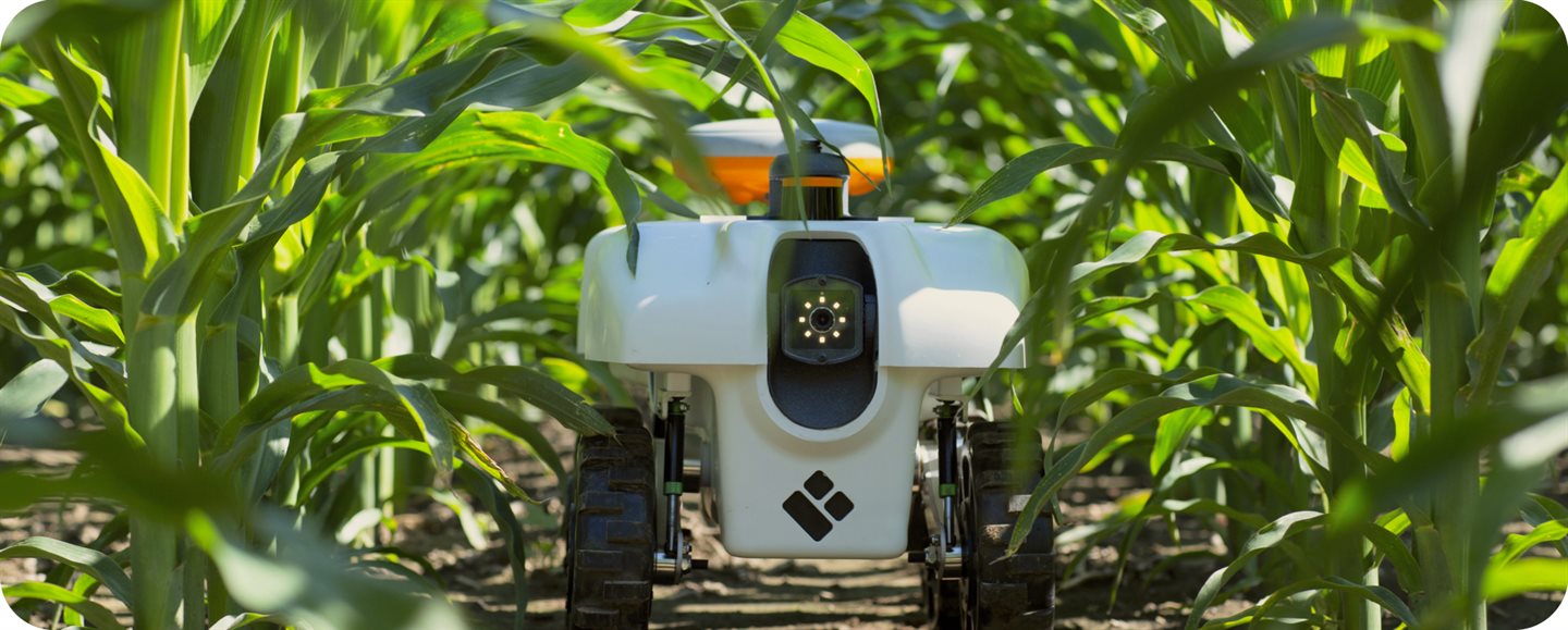 EarthSense's TerraSentia uses a number of sensors to collect data on crop health, as well as machine learning-based analytics to convert this data into actionable insights for farmers.