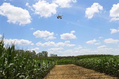 Picture of a drone flying over a corn field with blue skies and clouds in the background.