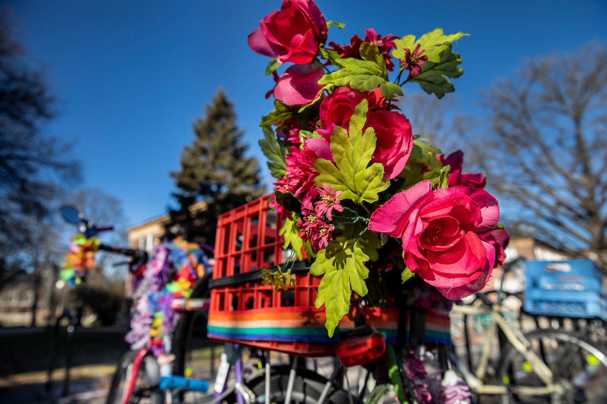 A red milk carton attached to a bike for use as a basket decorated with a rainbow and red roses is parked on the main quad.