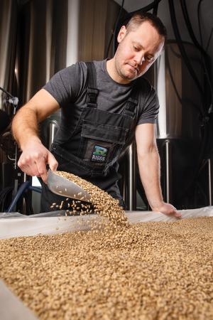 Matt Riggs inspects a container of malted barley grown by the Riggs brothers. (photo by L. Brian Stauffer)
